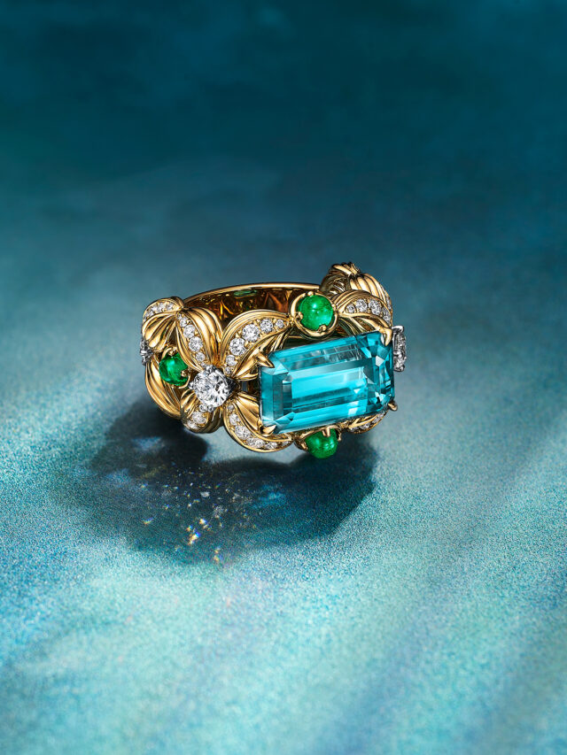 tiffany blue book hidden garden