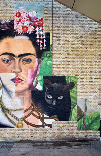 Frida the making of an icon