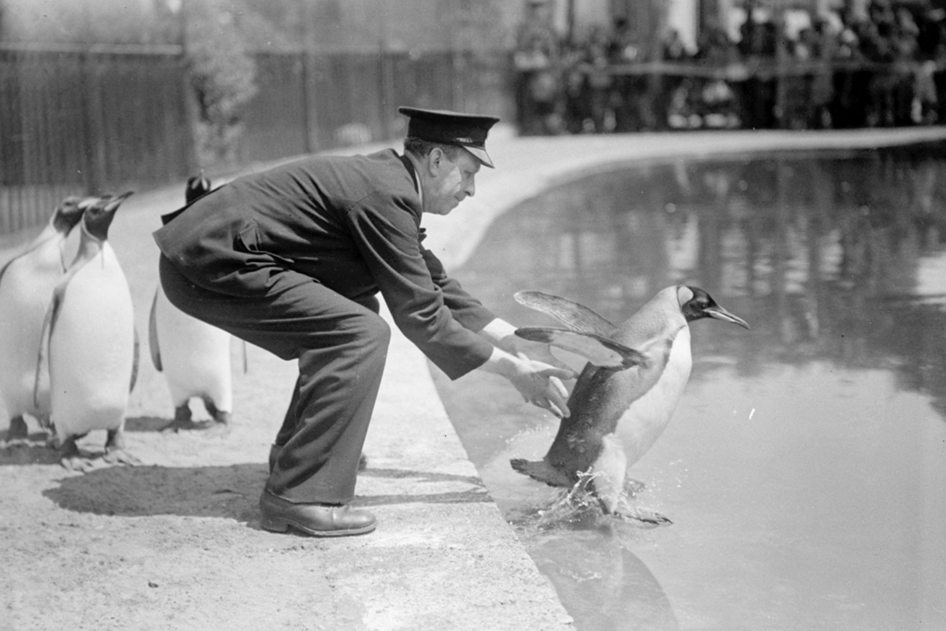 The fascinating history of London Zoo