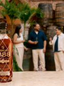 Brugal