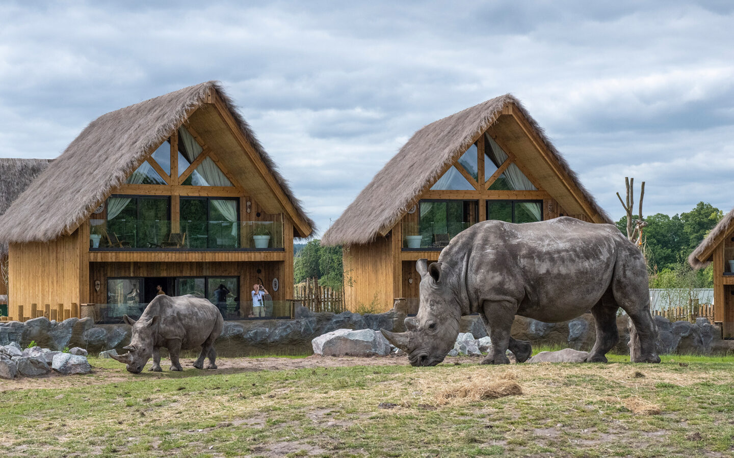 rhino lodge west midlands safari