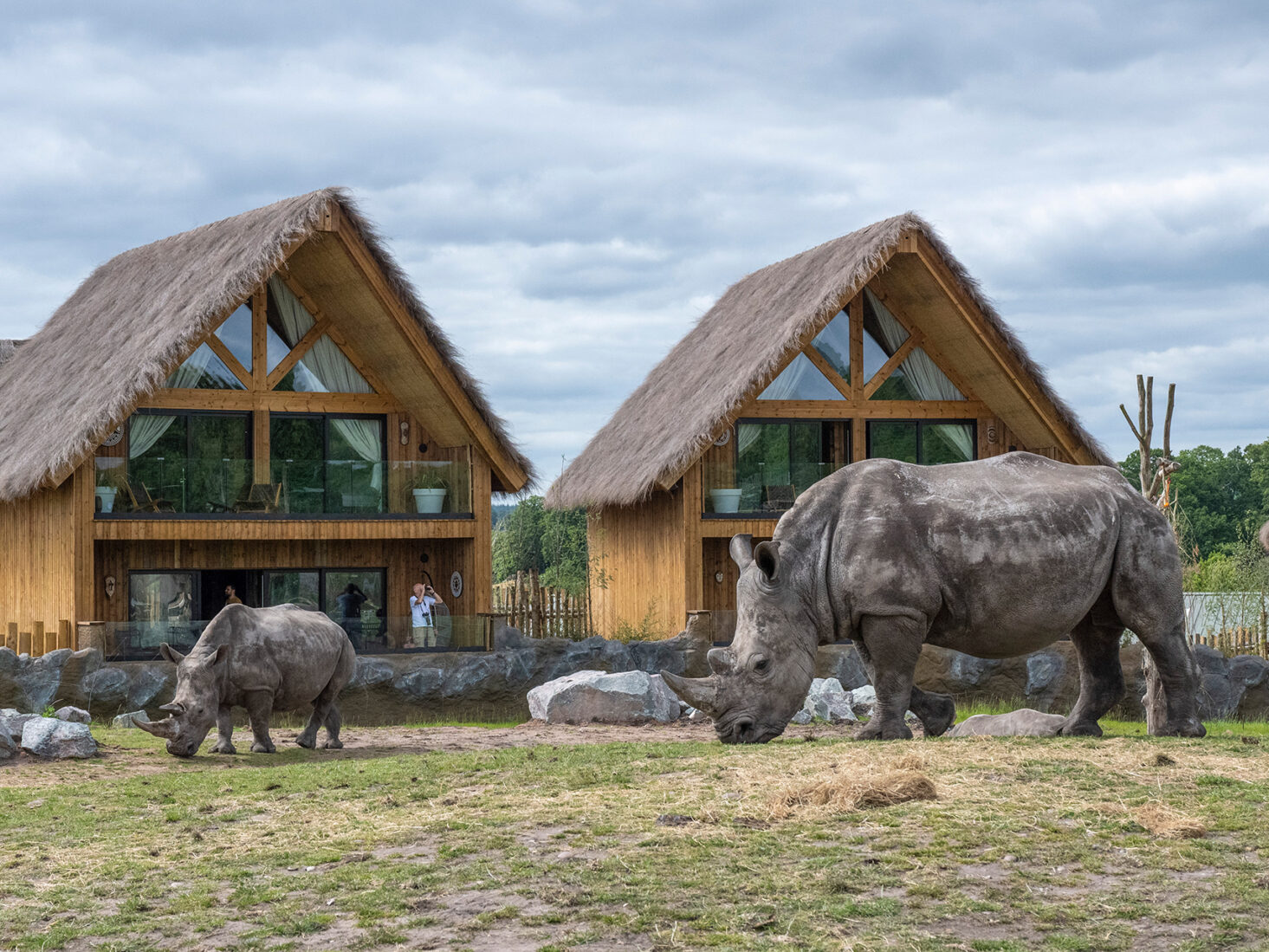 rhino lodge west midlands safari