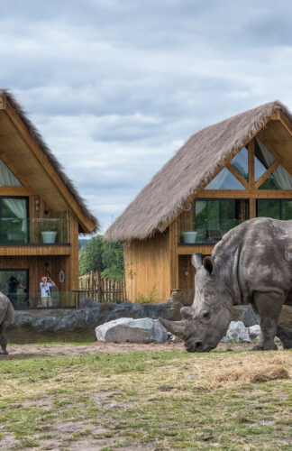 rhino lodge west midlands safari