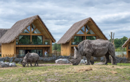 rhino lodge west midlands safari