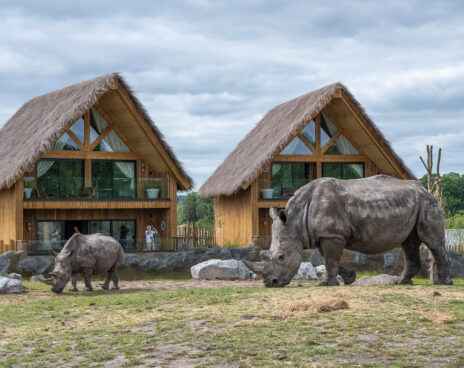rhino lodge west midlands safari