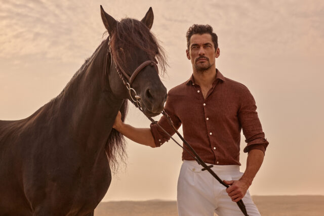 davdi gandy hackett