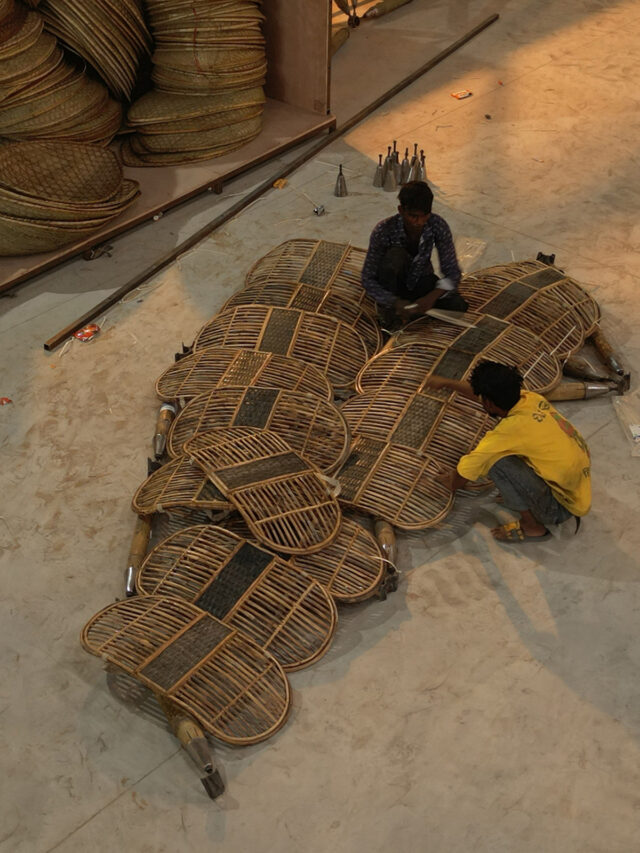 pangolin art studio saar